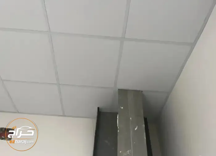 سقف مستعار