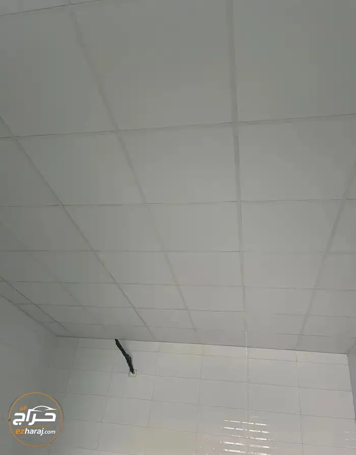 سقف مستعار
